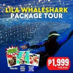 Lila Whale Shark And Countryside Tour In Bohol